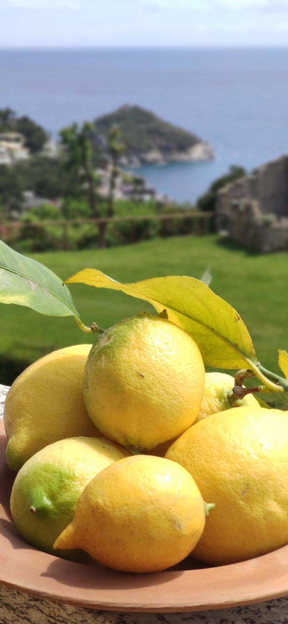 Il Giardino Sull'Isola - Appartamento - Bergeggi Zewnętrze zdjęcie