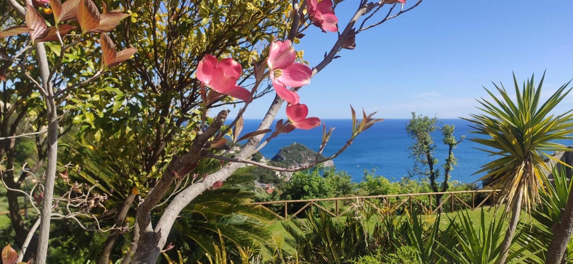 Il Giardino Sull'Isola - Appartamento - Bergeggi Zewnętrze zdjęcie