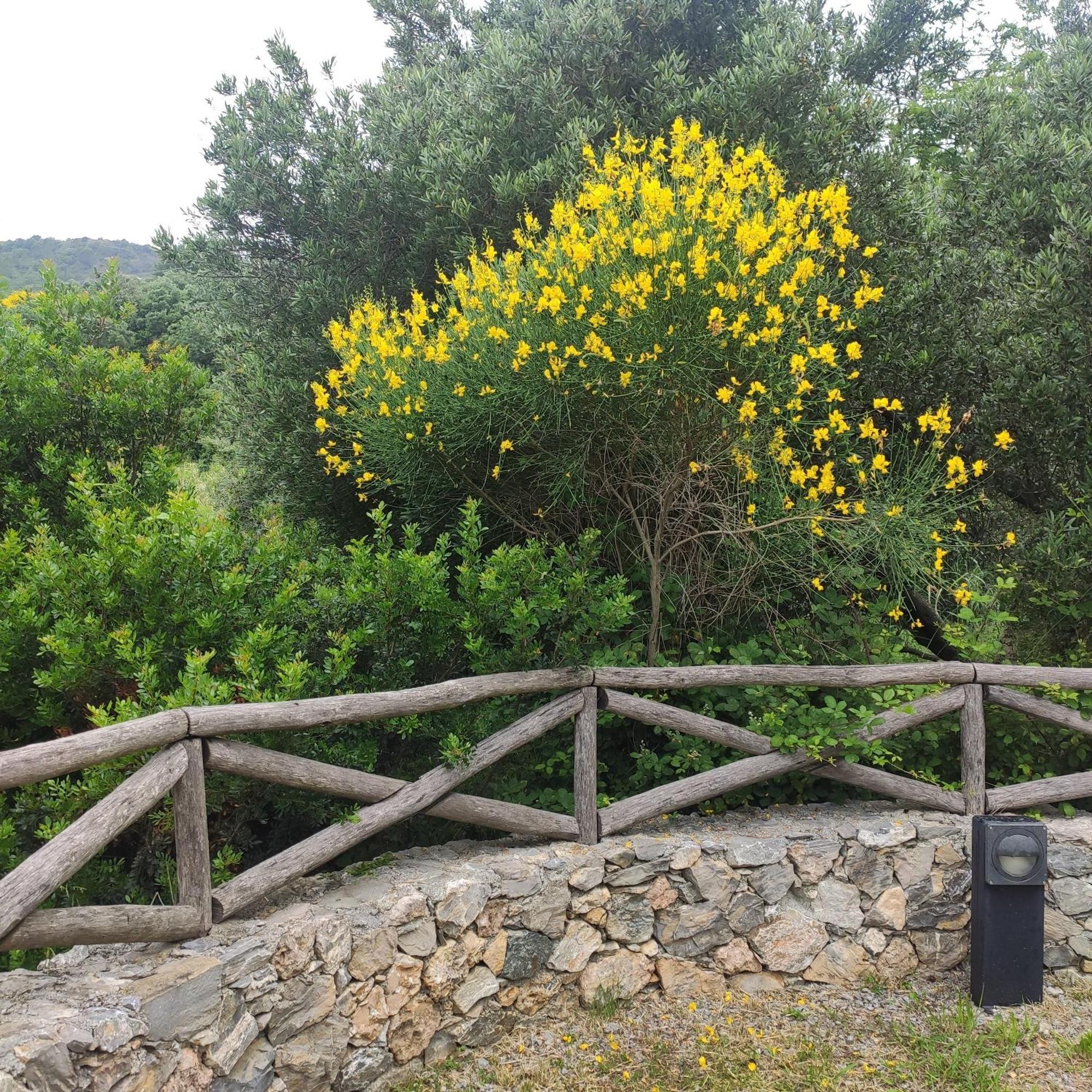Il Giardino Sull'Isola - Appartamento - Bergeggi Zewnętrze zdjęcie